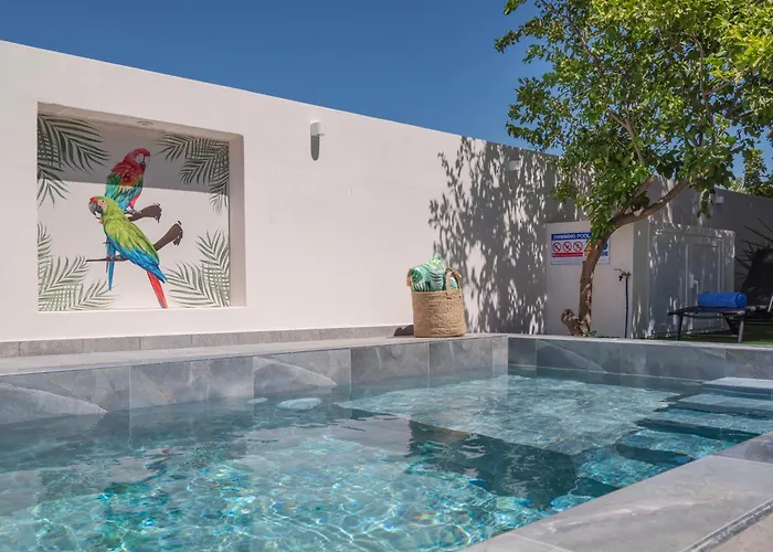 Paradissia Luxe With Private Swimming Pool